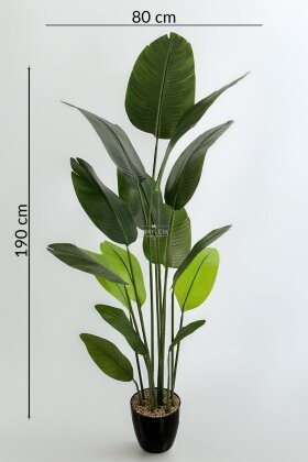 Siyah Saksıda Yapay 15 Yapraklı Alba Starliçe Ağacı 190 cm - 5