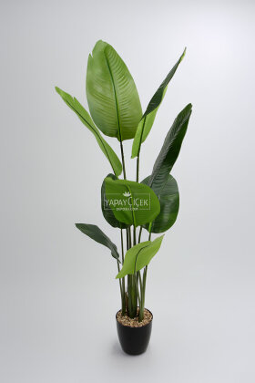 Yapay Starliçe Ağacı 9 Yapraklı 160 cm - 2