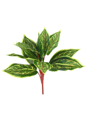 Yapay Fittonia Kraton Bitkisi 40 cm Yeşil-Sarı - 1