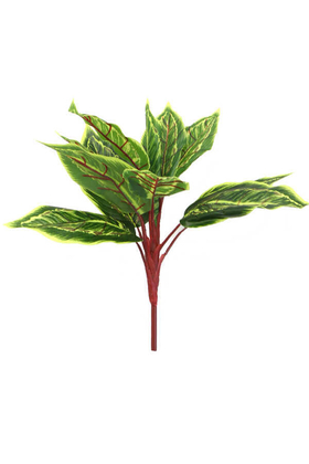 Yapay Fittonia Kraton Bitkisi 40 cm Yeşil-Sarı - 2