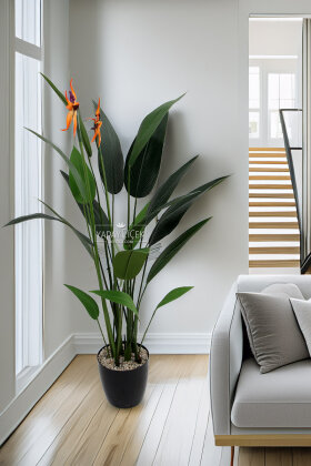 Yapay Çiçekli Starliçe King 160 cm - Yapay Çiçek Deposu