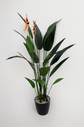 Yapay Çiçekli Starliçe King 160 cm - 2