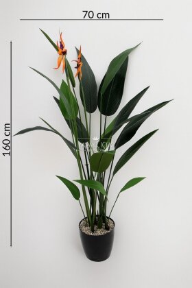 Yapay Çiçekli Starliçe King 160 cm - 4