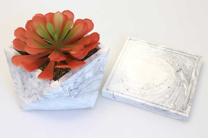 Tepsili Beton Saksıda Büyük Succulent Tanzimi - 3
