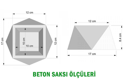 Tepsili Beton Saksıda Büyük Succulent Tanzimi - 5