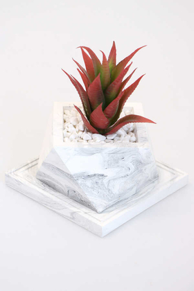 Altlıklı Beton Saksıda Kaliteli Yapay Succulent Kaktüs Set Kızıl - 1