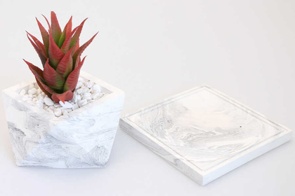 Altlıklı Beton Saksıda Kaliteli Yapay Succulent Kaktüs Set Kızıl - 2