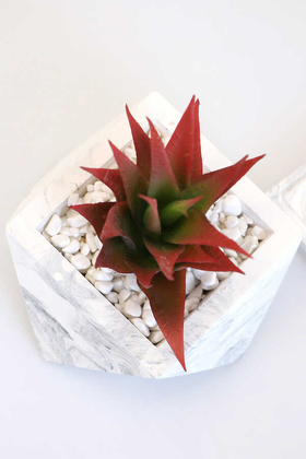Altlıklı Beton Saksıda Kaliteli Yapay Succulent Kaktüs Set Kızıl - 3