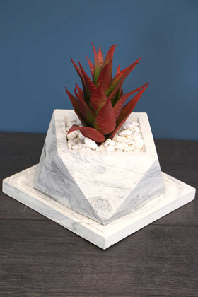 Altlıklı Beton Saksıda Kaliteli Yapay Succulent Kaktüs Set Kızıl - 4