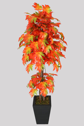 Yapay Ağaç Tatar Akçaağacı 170 cm Kiremit Acer Tataricum - 1