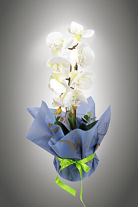 Yapay Tek Dal Lumière Özel Gün Orkide Tanzimi 58 cm Beyaz - 3