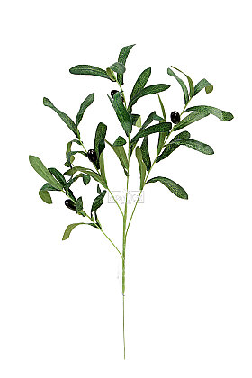 Yapay Tek Dal Zeytin Dalı 60 cm Koyu Yeşil - 3