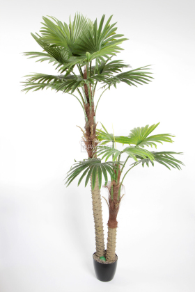 Yapay Tropikal Palmiye Ağacı 240 cm - 2
