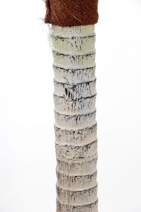 Yapay Tropikal Yucca Ağacı 200 cm - 3