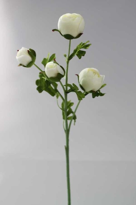 Yapay Uzun Dal 4lü Gül 63 cm Beyaz - 2