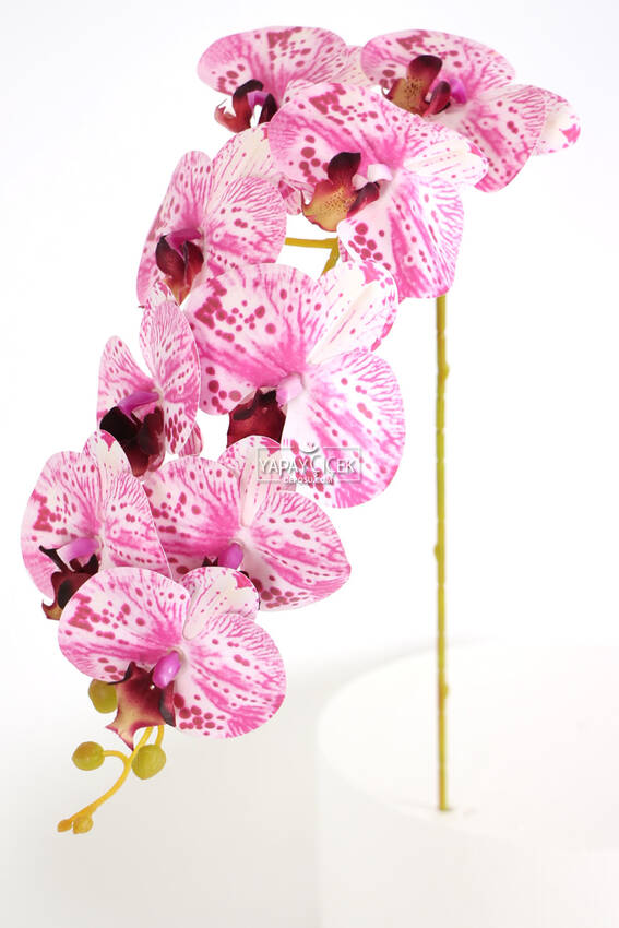 Yapay Dal Baskılı Orkide Çiçeği 88 cm Fuşya Beyaz