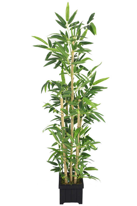 Yapay Yapraklı Bambu Ağacı Premium Yapraklı 5 Gövdeli 175cm - 1