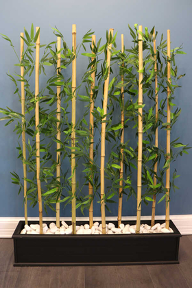 10 Çubuklu Ahşap Saksıda Bambu Seperatör (20x100x135cm) - 1