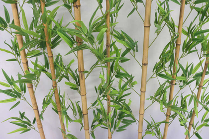 Yapay Bambu Seperatör 7 Adet Bambu Çubuklu Egzotik Yapraklı (20x100x160 cm) - 2