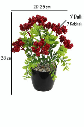 Yapay Çiçek Saksıda 7 Dallı Yoğun Yapraklı Ruscus Kokina Yeni Yıl Çiçeği 30 cm - 2
