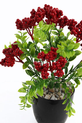 Yapay Çiçek Saksıda 7 Dallı Yoğun Yapraklı Ruscus Kokina Yeni Yıl Çiçeği 30 cm - 4