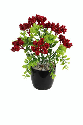 Yapay Çiçek Saksıda 7 Dallı Yoğun Yapraklı Ruscus Kokina Yeni Yıl Çiçeği 30 cm - 5