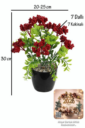 Yapay Çiçek Saksıda 7 Dallı Yoğun Yapraklı Ruscus Kokina Yeni Yıl Çiçeği 30 cm - 7