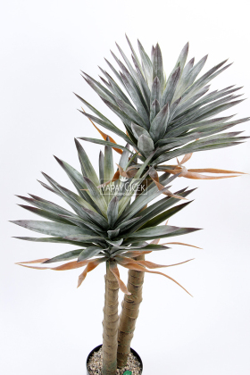 Yapay Yucca Gloriosa Avize Çiçeği Ağacı 150cm - 3