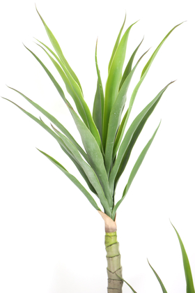 3 Gövdeli Geniş Yapraklı Yapay Yucca Ağacı 160 cm - 2