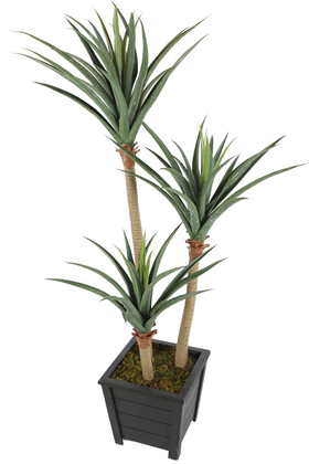 Yapay 3 Gövdeli Yucca Ağacı Artificial Foilage 150 cm - 2