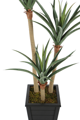 Yapay 3 Gövdeli Yucca Ağacı Artificial Foilage 150 cm - 3