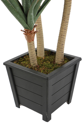 Yapay 3 Gövdeli Yucca Ağacı Artificial Foilage 150 cm - 5