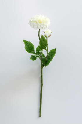 Yapay Çiçek Lüx Goncalı Zinnia Dalı 60 cm Krem - 3