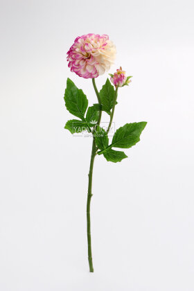 Yapay Çiçek Lüx Goncalı Zinnia Dalı 60 cm Krem-Lila - 3