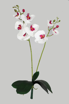Yapraklı 3D Lüx 2li Islak Orkide Dalı 55 cm Beyaz-Fuşya - 1