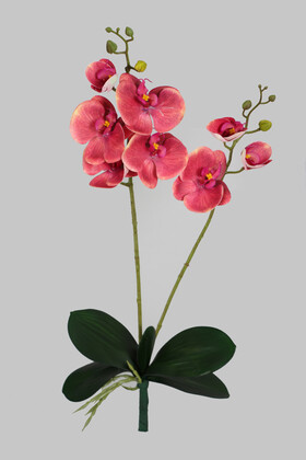 Yapraklı 3D Lüx 2li Islak Orkide Dalı 55 cm Pastel Fuşya - 1