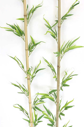 Doğal Bambu Yapay Egzotik Yapraklı 160 cm 10 Yapraklı - 2