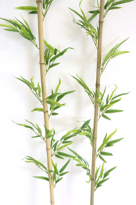 Doğal Bambu Yapay Egzotik Yapraklı 160 cm 10 Yapraklı - 3