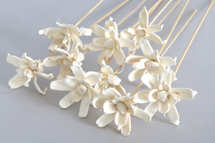 10 Adet Shola Gardenia 25 cm - 2