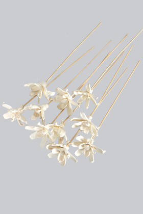 10 Adet Shola Gardenia 25 cm - 4