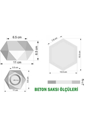 Tepsili Beton Saksıda 3lü Yeni Yıl Kokina Seti - 5