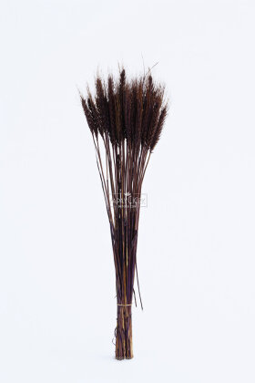 3 Demet Yerli Kuru Başak (3 Farklı Renk) 60 cm - 2