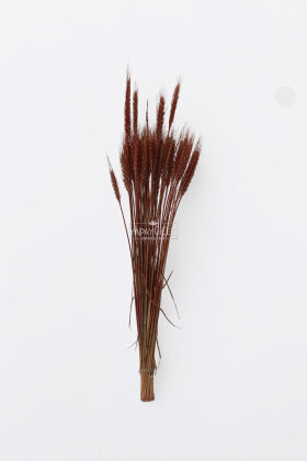 3 Demet Yerli Kuru Başak (3 Farklı Renk) 60 cm - 3