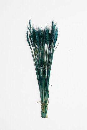 3 Demet Yerli Kuru Başak (3 Farklı Renk) 60 cm - 4