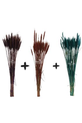 3 Demet Yerli Kuru Başak (3 Farklı Renk) 60 cm - 5