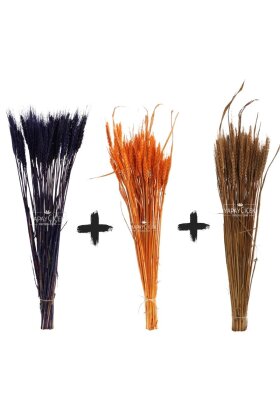 3 Demet Yerli Kuru Başak (3 Farklı Renk) 60 cm - 5