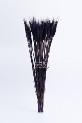 3 Demet Yerli Kuru Başak (3 Farklı Renk) 60 cm - 3