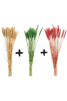 3 Demet Yerli Kuru Başak (3 Farklı Renk) 60 cm - 5