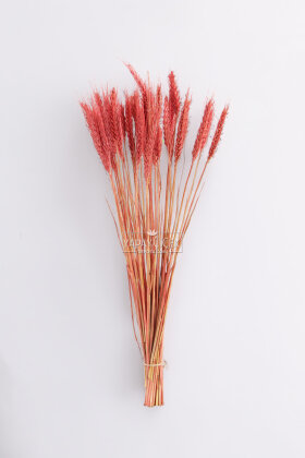 3 Demet Yerli Kuru Başak (3 Farklı Renk) 60 cm - 4