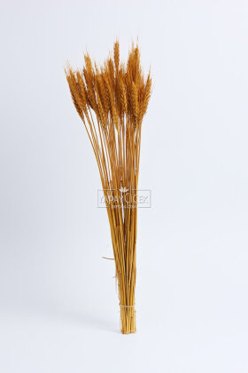 3 Demet Yerli Kuru Başak (3 Farklı Renk) 60 cm - 2